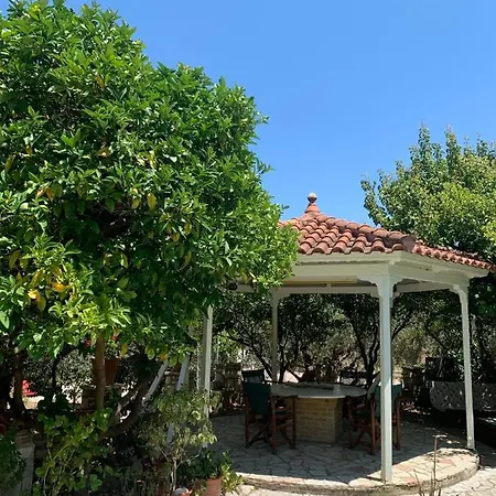 Katerinas *